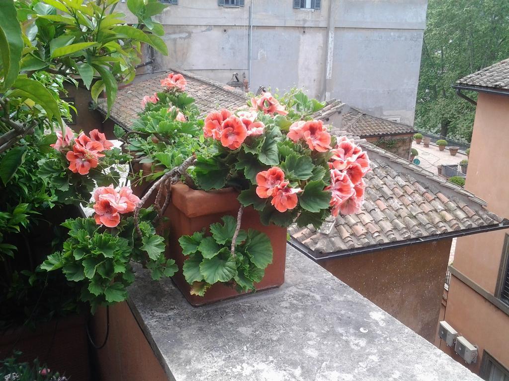 Apartment Casa Giulia Rom