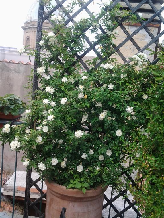 Appartamento Casa Giulia